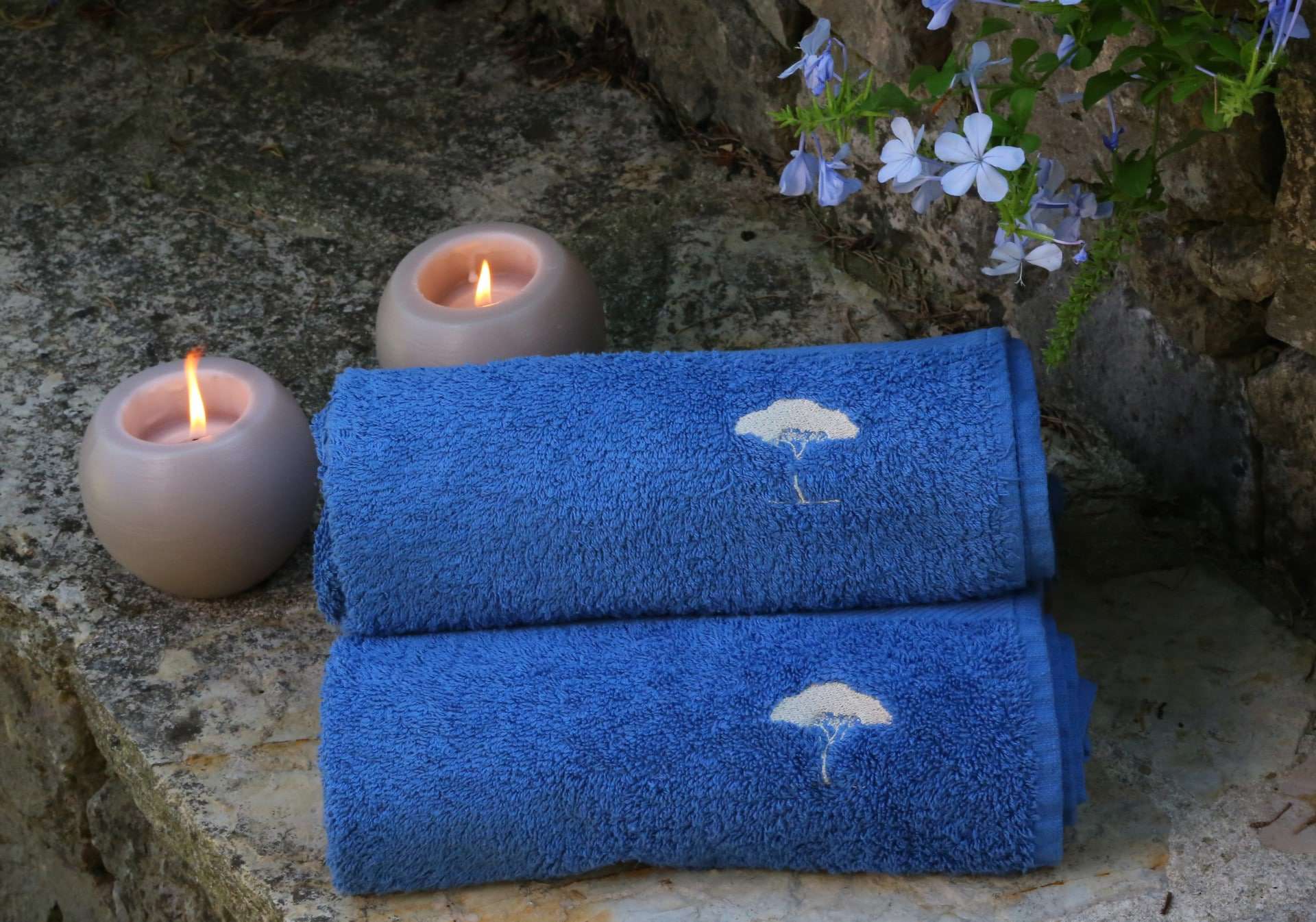 blue tree massage ambiance in home massage vallauris