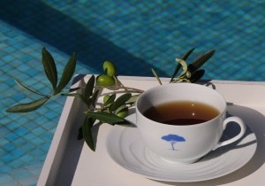bluetree massage infusion ambiance spa massage monaco, cannes