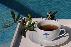 bluetree massage infusion300 ambiance blue tree massage vence