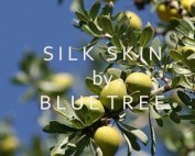 blue tree massage huile relaxante cannes