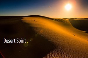 bluetree massage ambiance 10-300